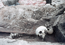 830325 Afbeelding van enkele schedels tussen de opgravingen van het vroegere Kasteel Vredenburg op het Vredenburg te Utrecht.